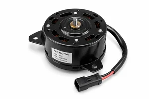 Wholesale automotive fan motor Malaysia