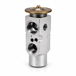 Wholesale car aircond expansion valve Malaysia